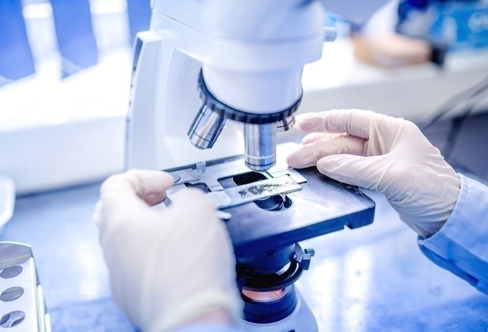 NITRAS 8100-XL 100 St. Vinyl Einweghandschuh Größe (Handschuhe): XL EN 455