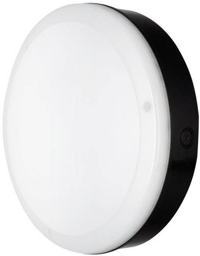LEDVANCE LED-Außendeckenleuchte, LED-Außenwandleuchte 10W Schwarz