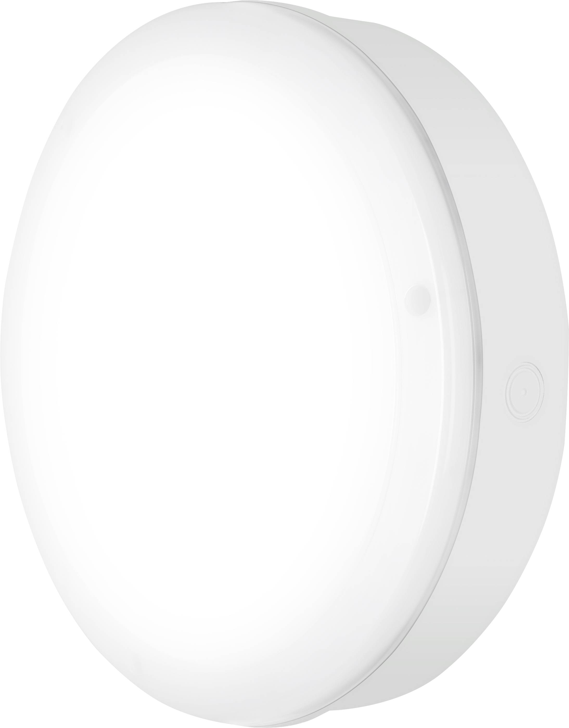 LEDVANCE Surface Bulkhead 82671 LE LED-Außendeckenleuchte, LED-Außenwandleuchte 10W Weiß