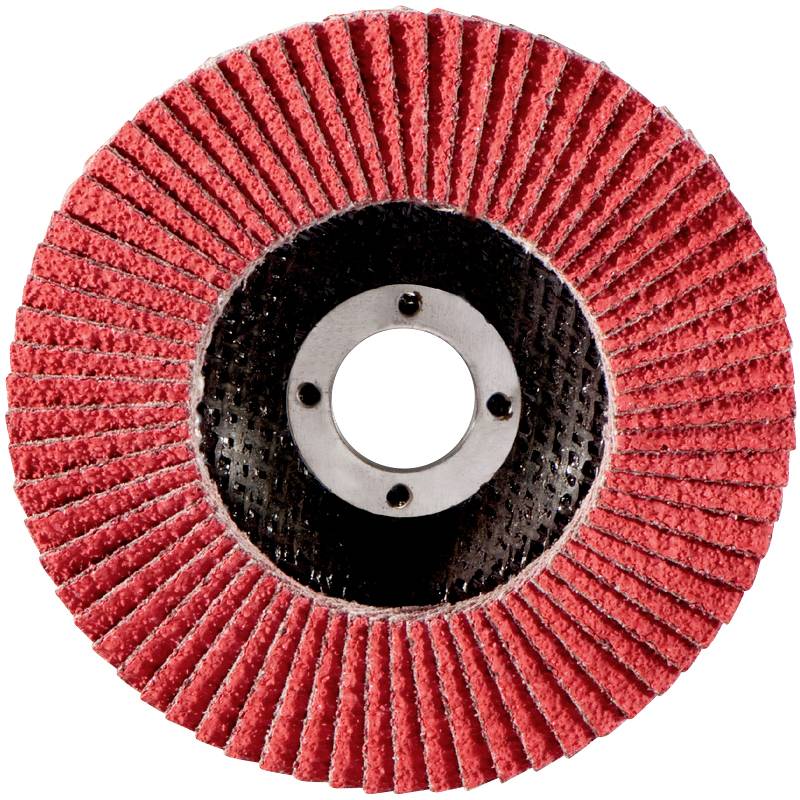 Metabo 626169000 Lamellenschleifscheibe Bohrungs-Ø 22.23mm 10St.