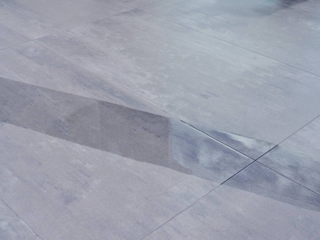 Leifheit Regulus Aqua PowerVac 11922 Nass-/Trockensauger herausnehmbarer Wassertank, kabellos, Standfunktion, Selbstreinigungsfunktion