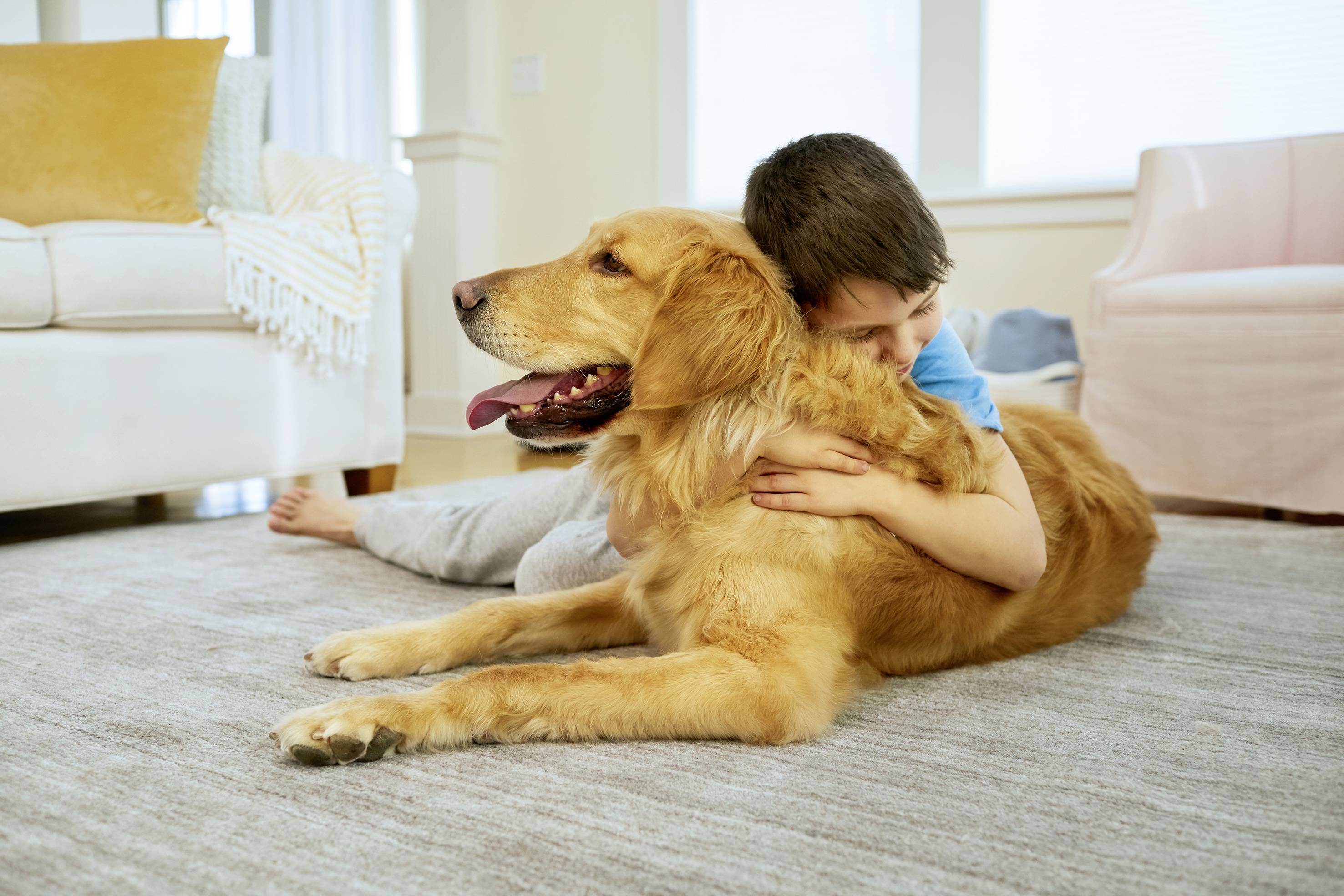 iRobot R965 Saugroboter