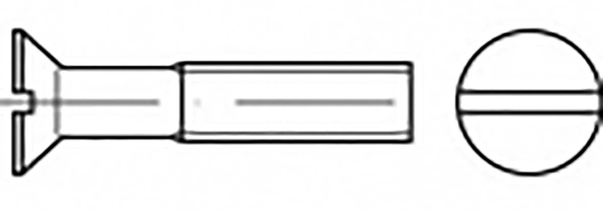 TOOLCRAFT TO-6867189 Senkschrauben M2.5 5 mm Schlitz Stahl verzinkt 200 St.