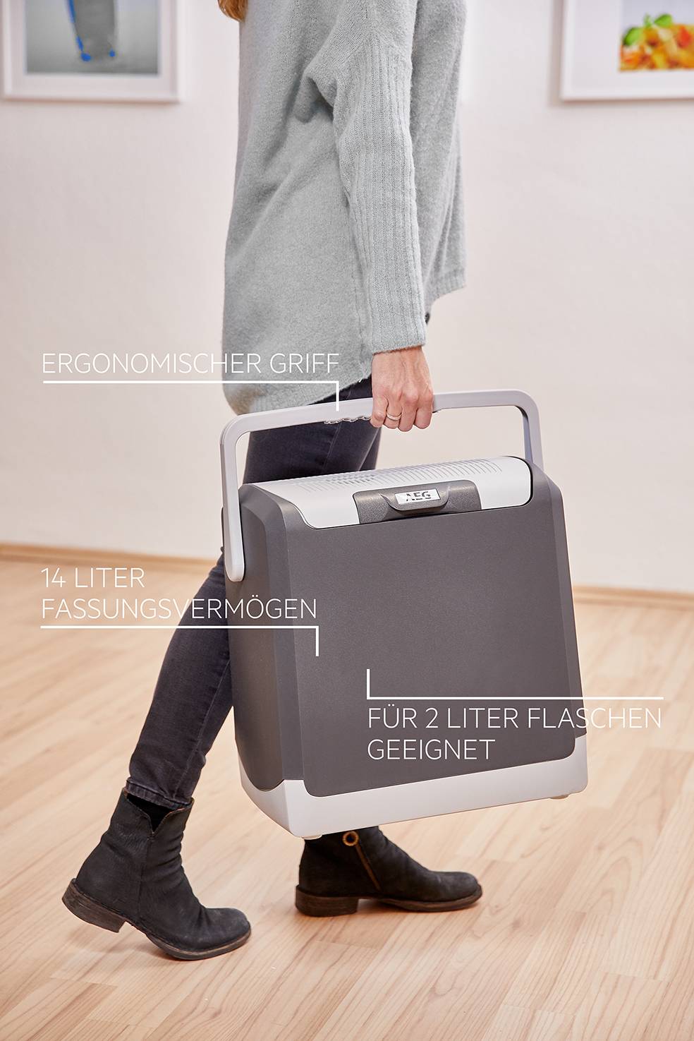AEG KK 14 Kühlbox & Heizbox Thermoelektrisch 12 V/DC Grau 14l <Max/> 19° C unter der Umgebungstemperatur