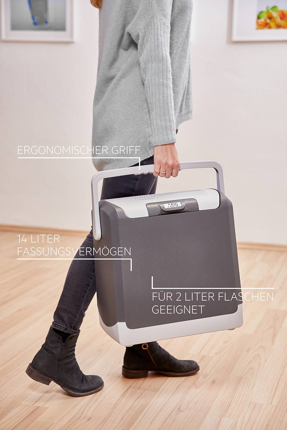 AEG KK 14 Kühlbox & Heizbox Thermoelektrisch 12 V/DC Grau 14l <Max/> 19° C unter der Umgebungstemperatur