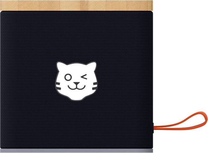 Tiger Media Tigerbox Touch Starter Paket Schwarz 1202