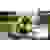 Einhell TE-CS 18/165-1 Li - Solo Akku-Handkreissäge Schnitttiefe max. (90°) 54mm ohne Akku, inkl. Trennscheibe 18V