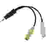 LogiLink CA0021 Klinke Audio Adapter [1x Klinkenstecker 3.5 mm - 2x Klinkenbuchse 3.5 mm] Schwarz