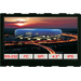 DISPLAY VISIONS LCD-Display (B x H x T) 106.8 x 71 x 10.4 mm