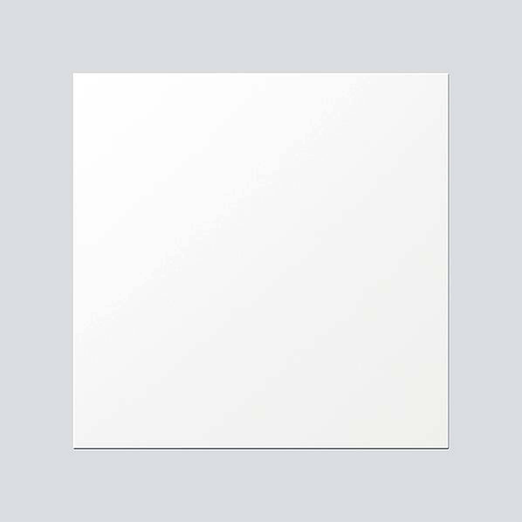 Siedle 210005776-00 Türsprechanlagen-Zubehör Funktionsmodul Weiß