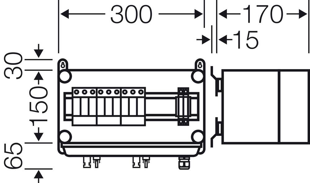Technische Zeichnung eines Geräts mit Maßen in Millimetern: Breite 300, Tiefe 170, Höhe 65. Zeigt Kabelanschlüsse und Befestigungspunkte.
