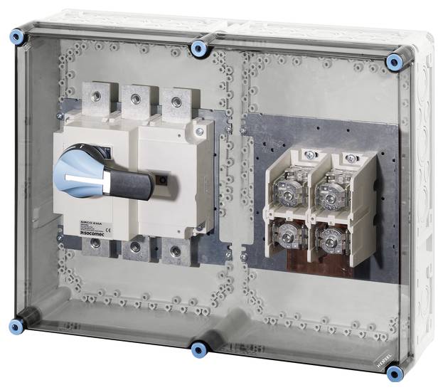 Ein elektrisches Schaltgehäuse mit einem großen, blauen Schalter auf der linken Seite und zwei Sicherungselementen rechts.