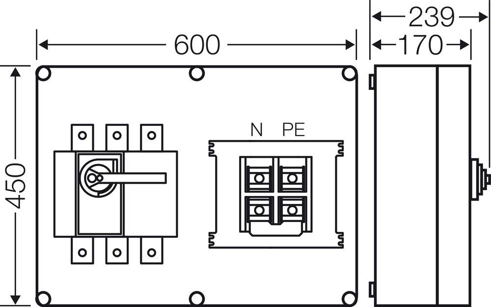 Elektroschaltplan: Abmessungen 600x450mm. Links Hauptschalter, rechts N-PE Anschluss. Maße: 239x170mm markiert.