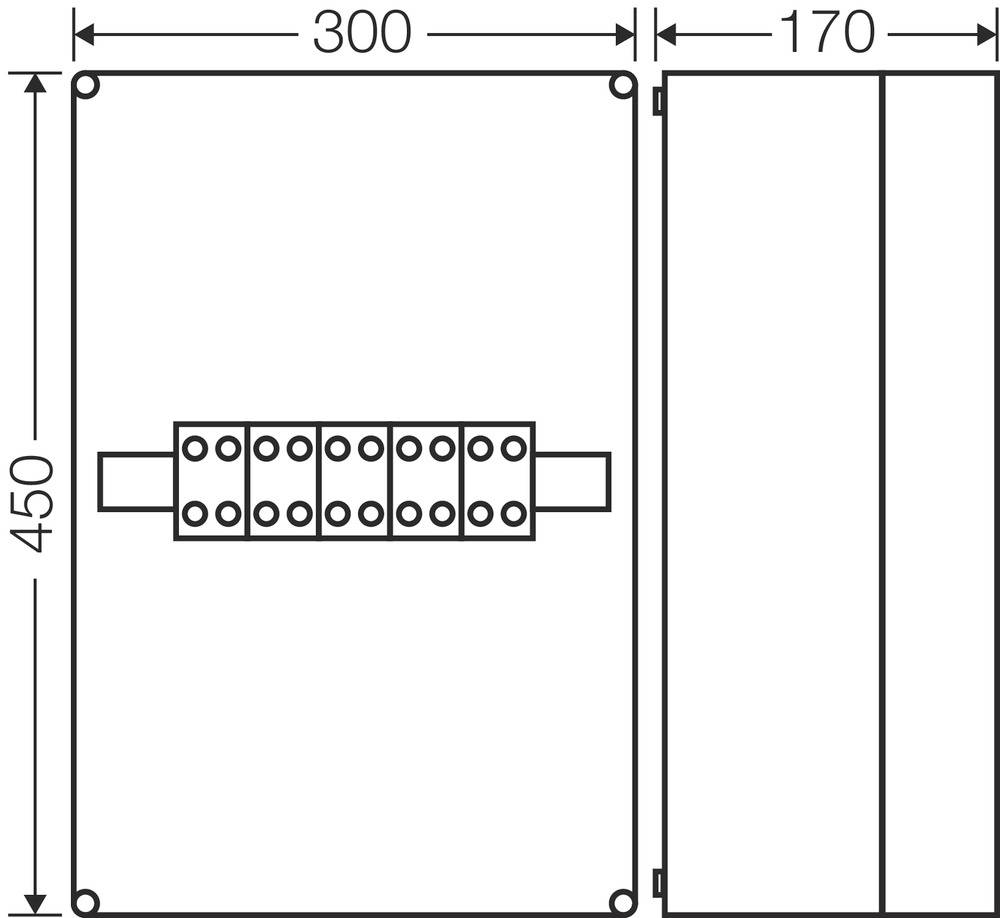 Technische Zeichnung eines rechteckigen Kastens mit den Maßen 300 x 450 x 170 mm. In der Frontansicht sind zehn Löcher sichtbar.