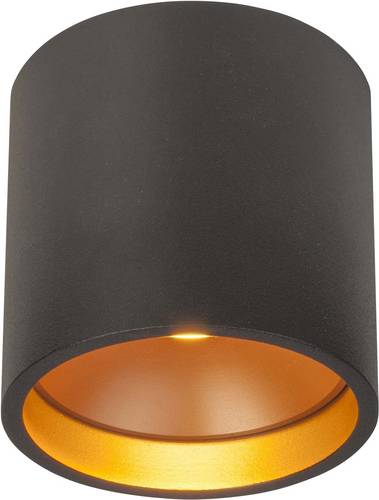 Brumberg 12072183 LED-Aufbauleuchte LED 4W Schwarz