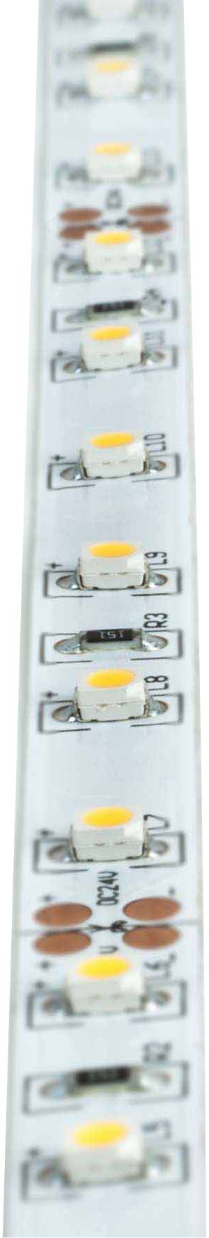 Brumberg 15271005 LED-Streifen EEK: G (A - G) 24 V 5 m Tageslichtweiß 1 St.
