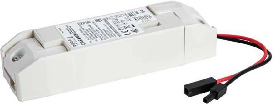 Ein rechteckiger, weißer LED-Treiber mit schwarzen und roten Anschlussdrähten, bedruckt mit technischen Spezifikationen.