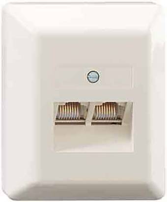 Eine beige Netzwerkdose mit zwei RJ45-Anschlüssen zur Wandmontage, geeignet für Ethernet-Kabelverbindungen.