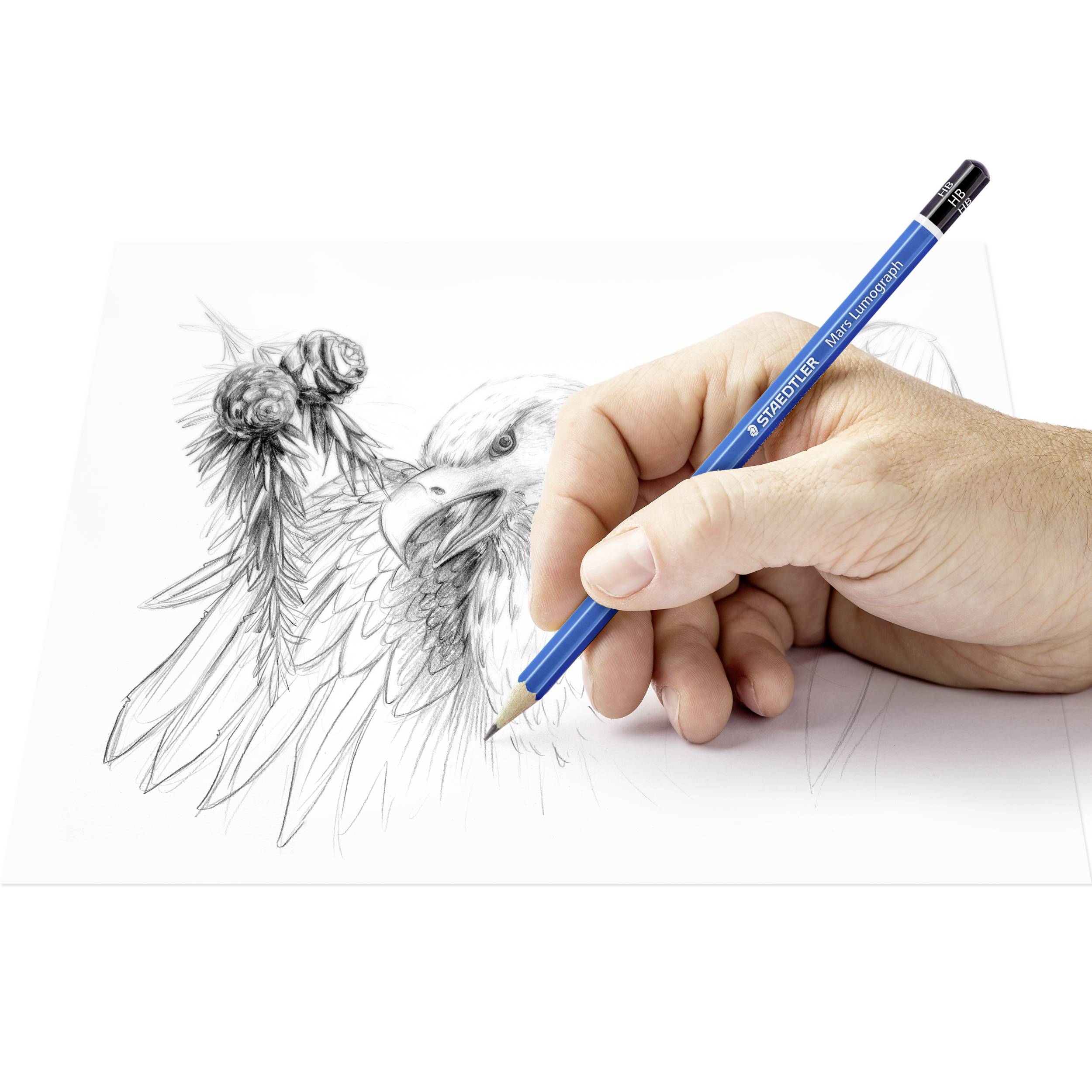 Eine Hand hält einen blauen Bleistift und zeichnet einen Adler mit detaillierten Federn auf weißem Papier.