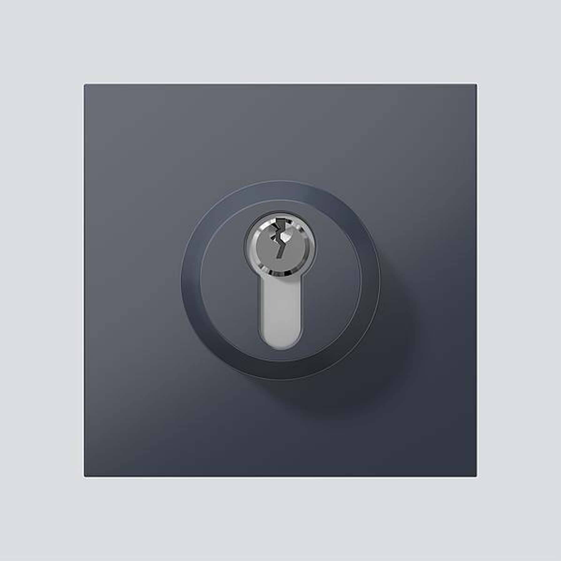 Siedle 210004992-00 Türsprechanlagen-Zubehör Funktionsmodul Anthrazit