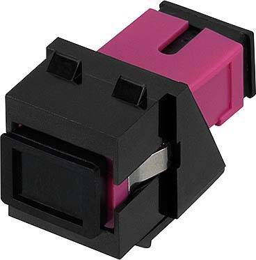 Ein schwarzer und pinker Kunststoffstecker, möglicherweise ein Datenkabel-Adapter, auf weißem Hintergrund dargestellt.