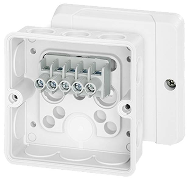 Weiße Kunststoff-Verbindungsdose mit fünf Kabelanschlüssen innen, für elektrische Installationen an Wand oder Decke geeignet.
