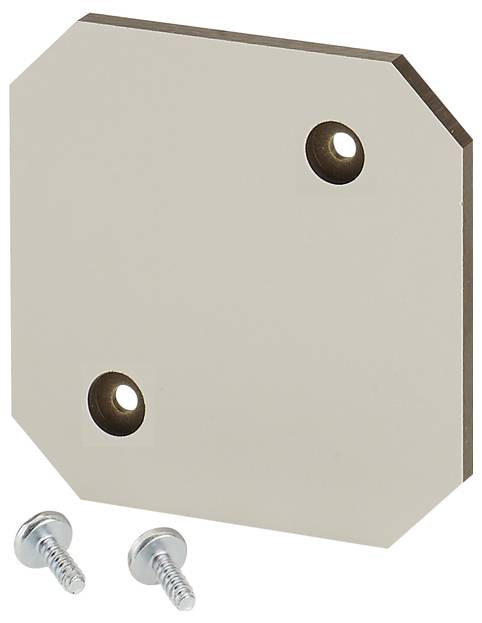 Metallplatte mit drei Löchern und zwei Schrauben, wahrscheinlich für Befestigungszwecke. Die Platte hat abgerundete Ecken.