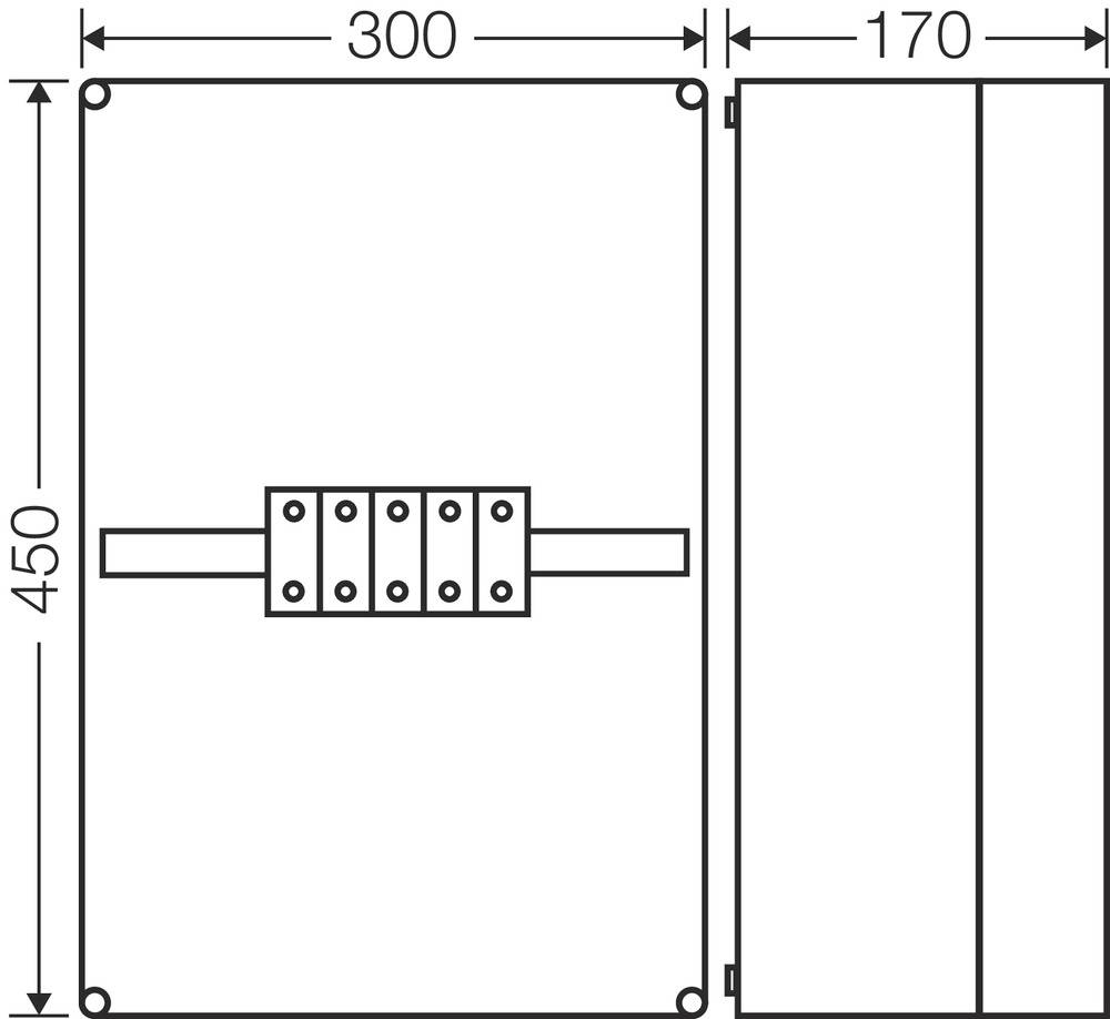 Technische Zeichnung eines rechteckigen Geräts. Abmessungen: Breite 300 mm, Seitenansicht 170 mm, Höhe 450 mm. Frontalanordnungen sichtbar.