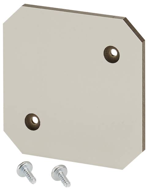 Ein rechteckiges, abgerundetes Metallblech mit drei Löchern. Zwei Metallbolzen liegen daneben.