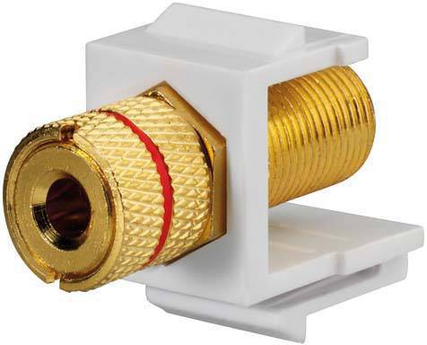 Ein goldener Bananenstecker-Anschluss in einem weißen Kunststoffgehäuse, typischerweise verwendet für Lautsprecherkabelverbindungen.