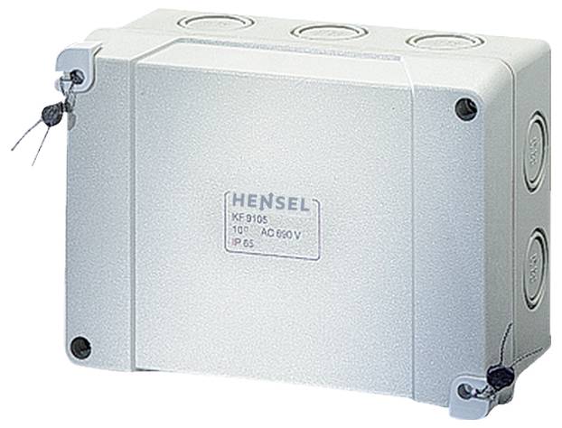 Kunststoff-Verbindungsdose mit Schutzklasse IP 65, geeignet für Innen- und Außeninstallationen. Markenlogo und Spannungsangabe vorne.