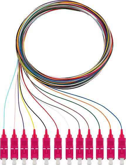 Rutenbeck 228040602 Glasfaser LWL Anschlusskabel [12x SC-Stecker - 12x offene Kabelenden] Multimode OM4