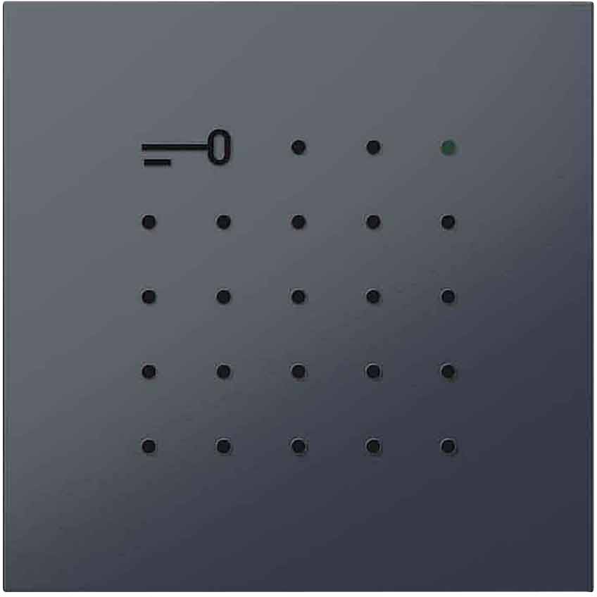 Siedle 210008426-00 Türsprechanlagen-Zubehör Funktionsmodul Anthrazit