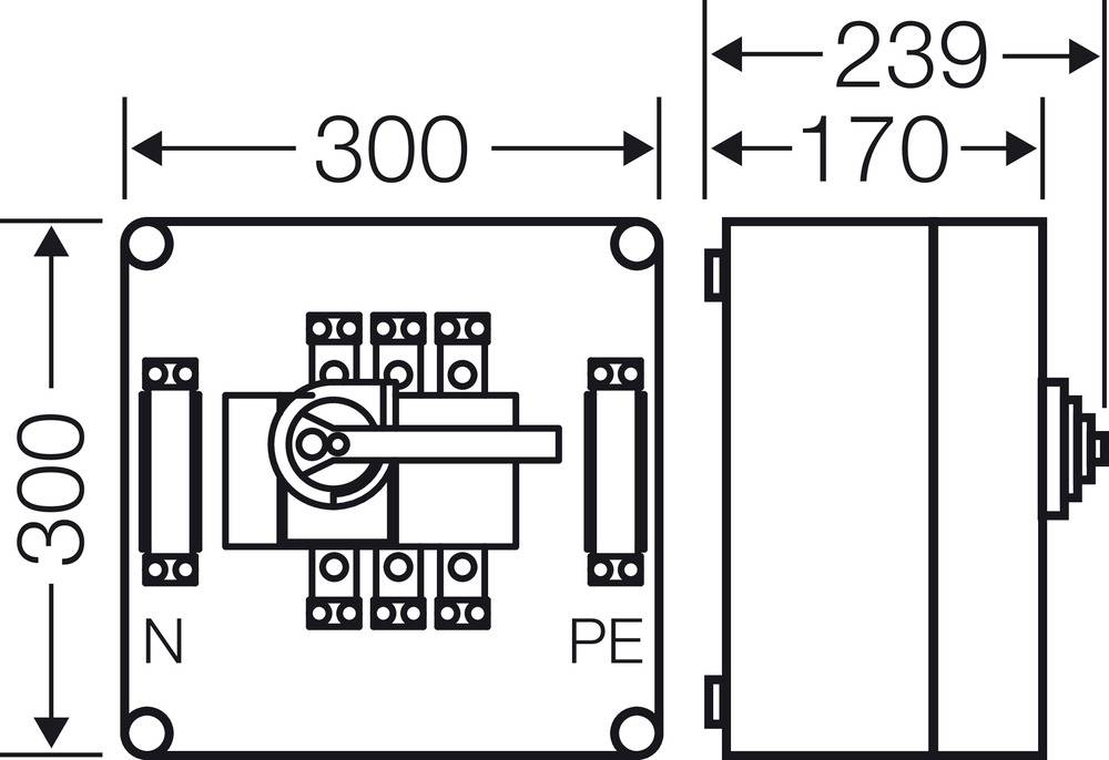 Technische Zeichnung eines elektrischen Schalters in einem Gehäuse. Maße sind 300x300 mm, Tiefe 170 mm, Breite 239 mm. Markierungen für N und PE.