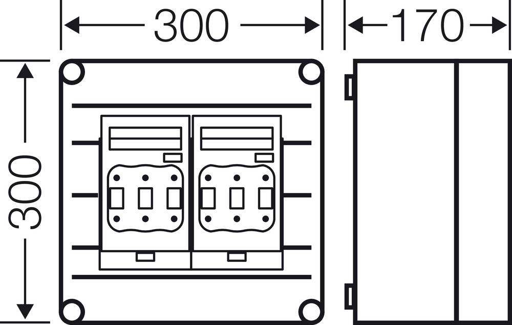 Technische Zeichnung eines rechteckigen Gehäuses mit zwei Steckdosen. Maße: 300 mm Höhe und Breite, 170 mm Tiefe.