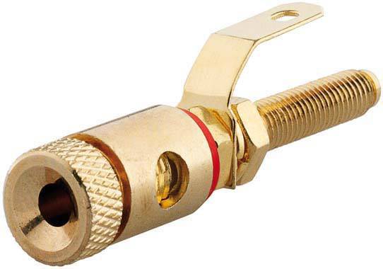 Rutenbeck 17000309 Adapter Buchse, gerade 1St.