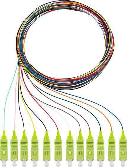 Rutenbeck 228040702 Glasfaser LWL Anschlusskabel [12x SC-Stecker - 12x offene Kabelenden] Multimode OM5