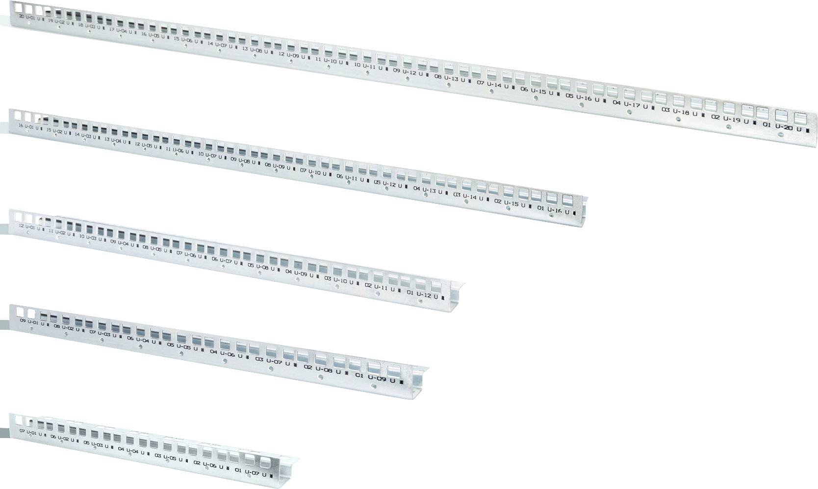 Digitus DN-19 MA-WM-09U 19 Zoll Netzwerkschrank-Schienen 9 HE Stahl