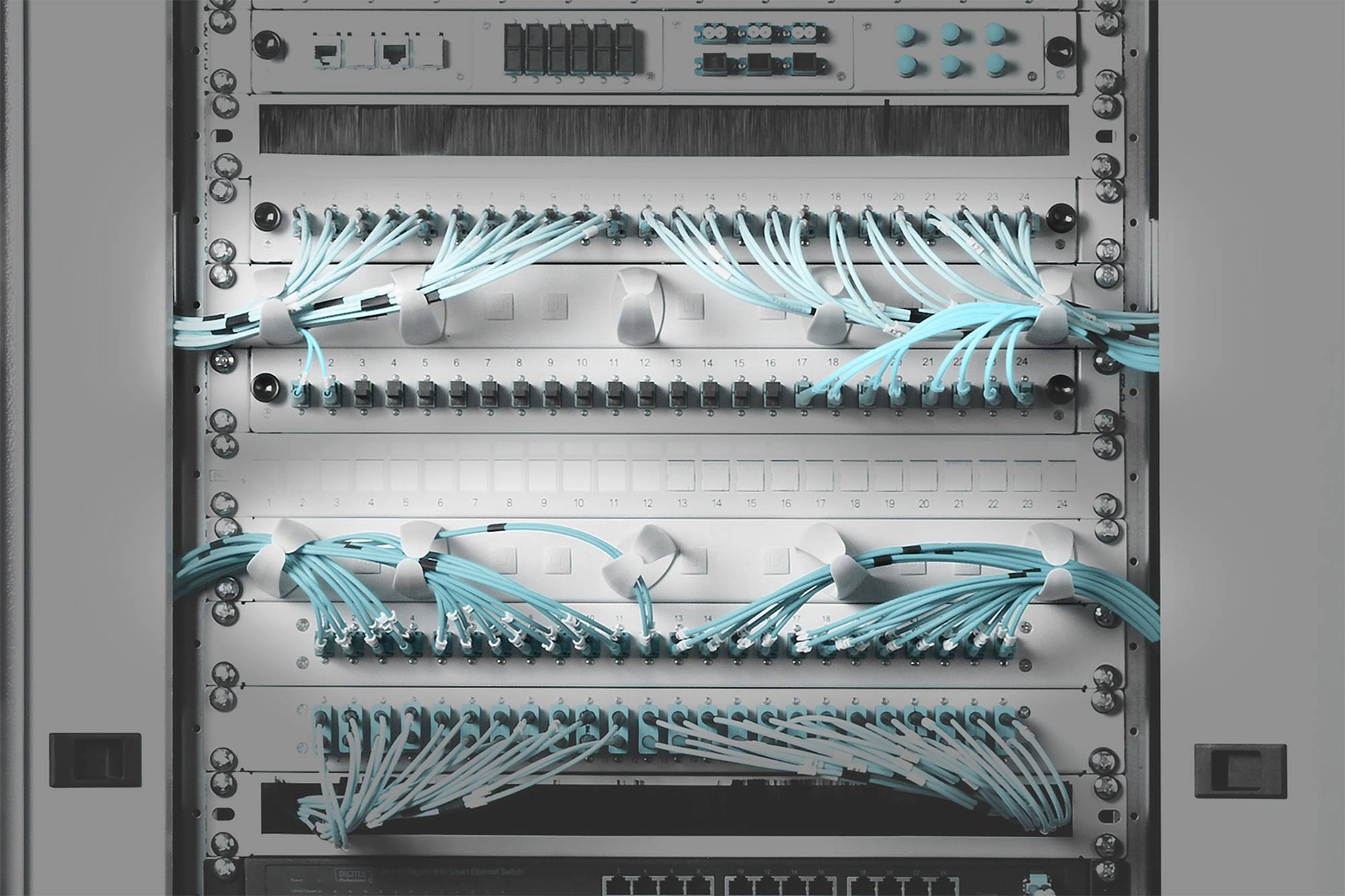 Digitus DN-97602-2 19 Zoll Netzwerkschrank-Kabelführung 1 HE Schwarz, Schwarz (RAL 9005)