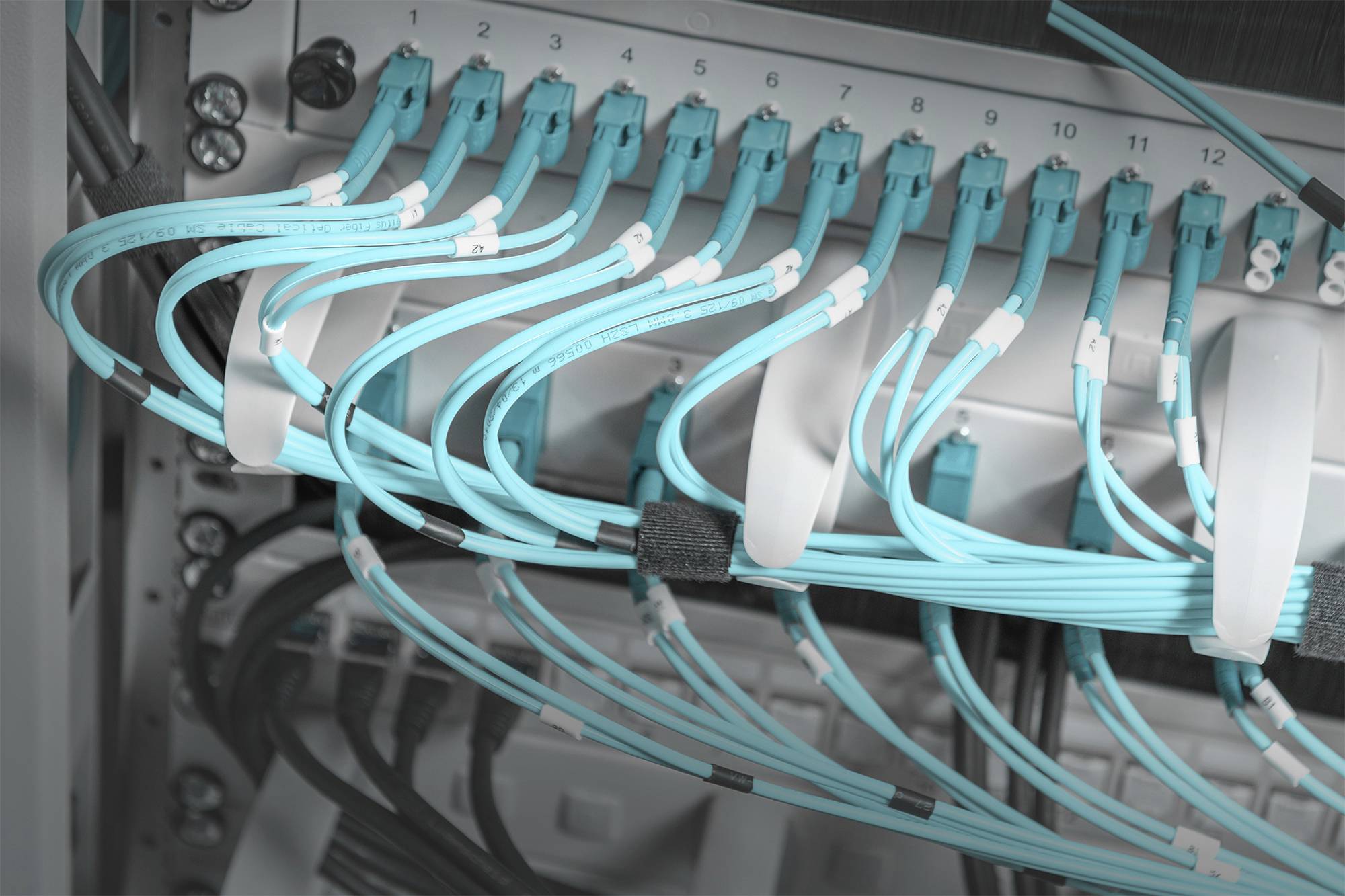 Digitus DN-97602-2 19 Zoll Netzwerkschrank-Kabelführung 1 HE Schwarz, Schwarz (RAL 9005)