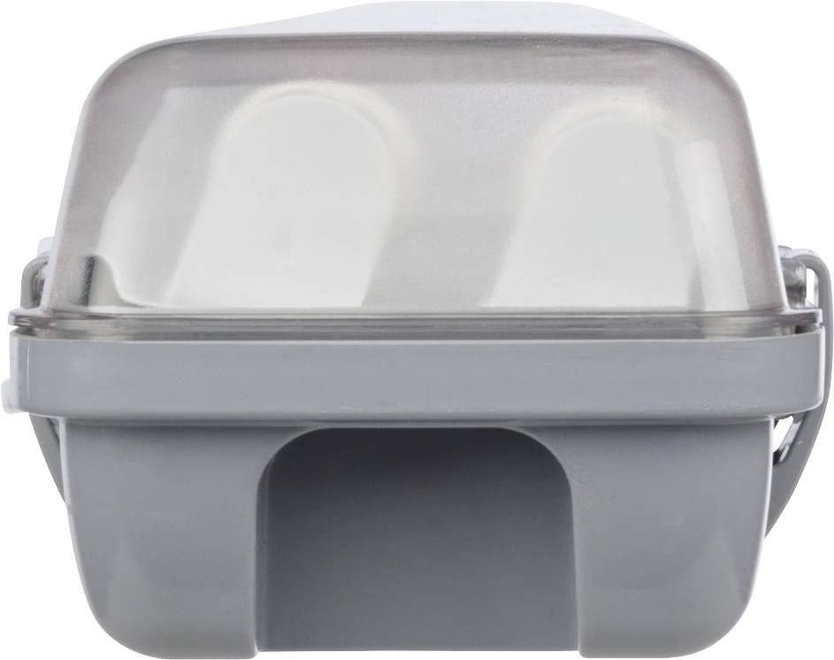 Grauer Behälter mit transparentem Klappdeckel, geeignet zum Transportieren und Aufbewahren von zwei Eiern.