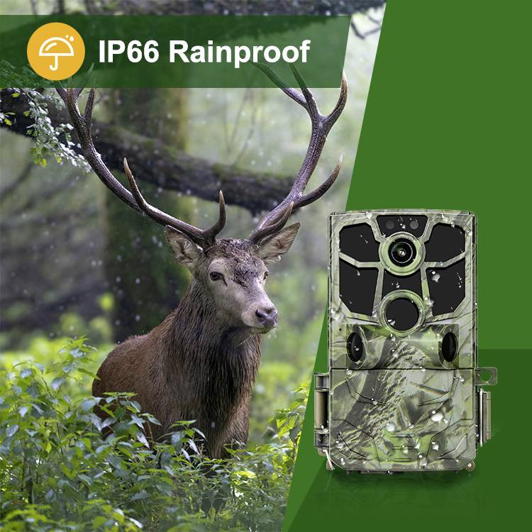 Renkforce RF-HC-300 Wildkamera 32 Megapixel Camouflage