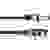 Omnitronic 30220595 XLR Verbindungskabel [1x XLR-Stecker 3 polig - 1x XLR-Buchse 3 polig] 30.00m Schwarz