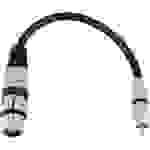 Omnitronic 3022075J XLR Adapterkabel [1x XLR-Buchse 3 polig - 1x Cinch-Stecker] 0.15 m Schwarz