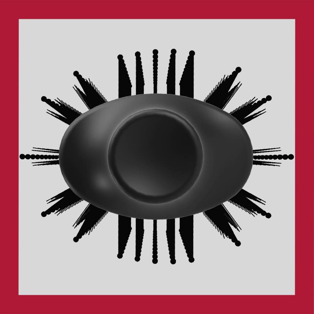 Revlon RVDR5282UKE Haarbürste Schwarz mit Ionisierung