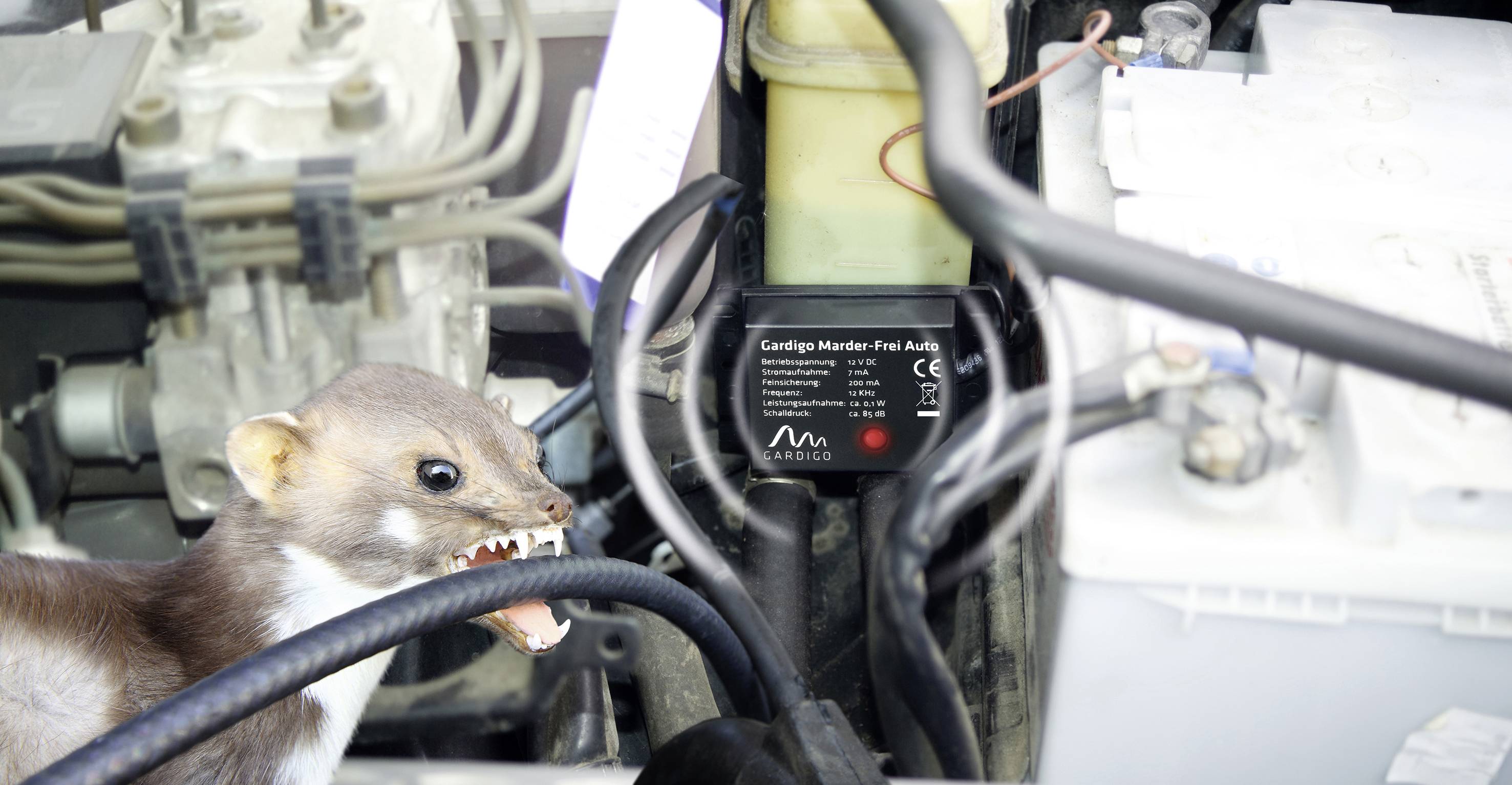 Gardigo 78405 Marderabwehr 12V 1St.