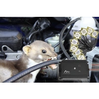 Gardigo 78540 Ultraschall-Marderabwehr 12 V 1 St. Gardigo 78540 Ultraschall-Marderabwehr 12 V 1 St.