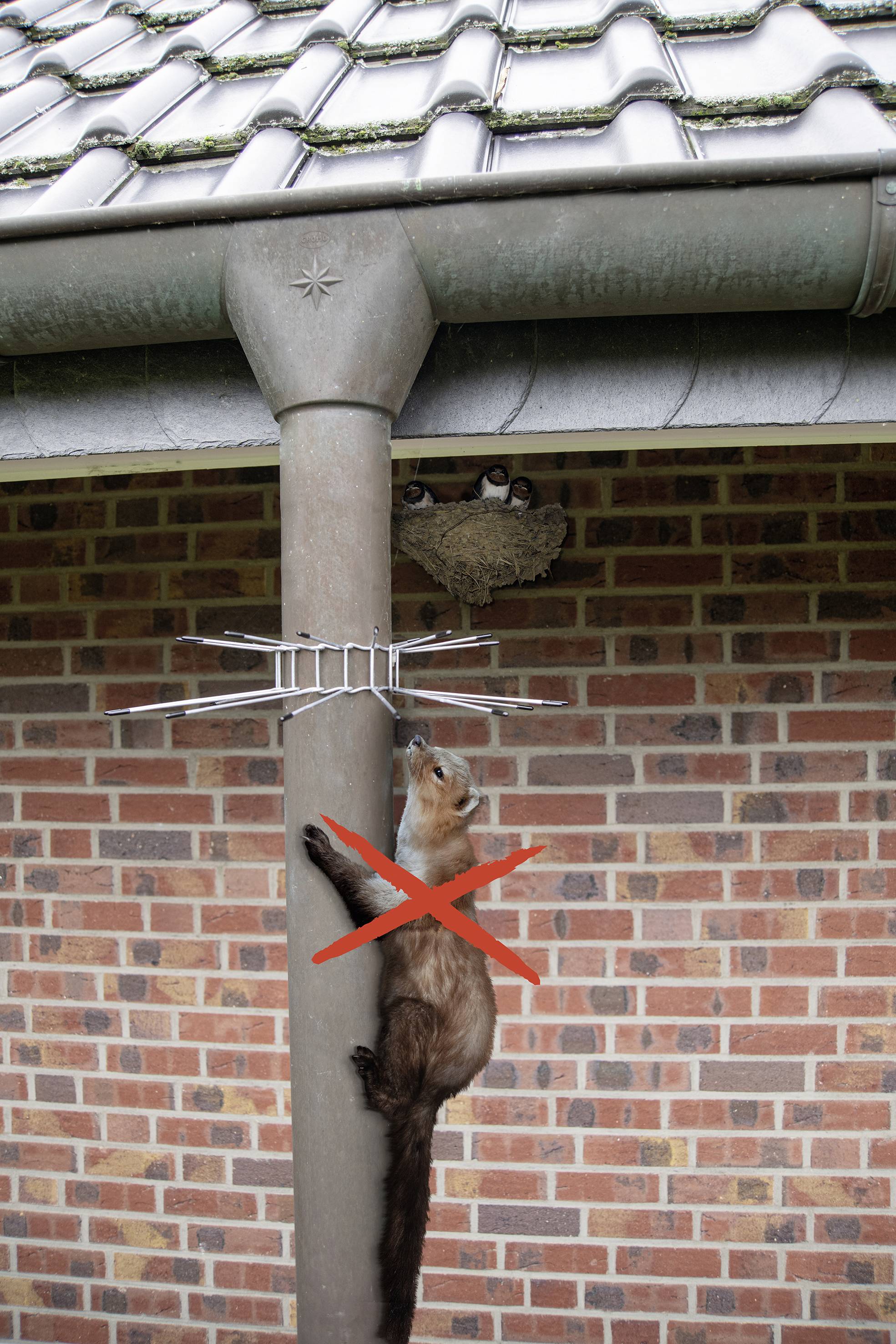 Gardigo Abwehrgürtel Marderabwehr Funktionsart Abschreckung 2St.