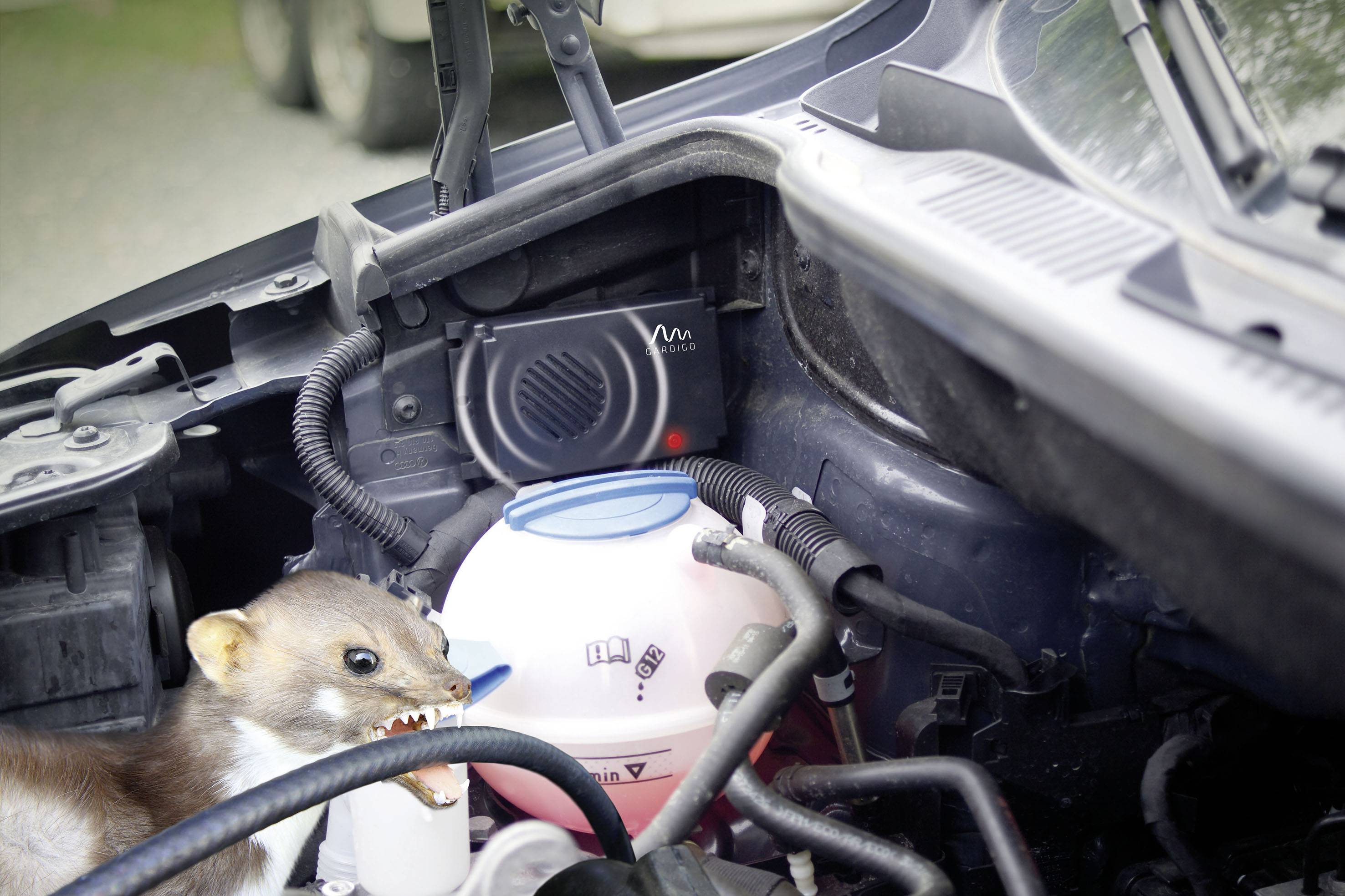 Gardigo Marder-Frei-Mobil Marderabwehr Funktionsart Ultraschall Wirkungsbereich 40 m² 1 St.