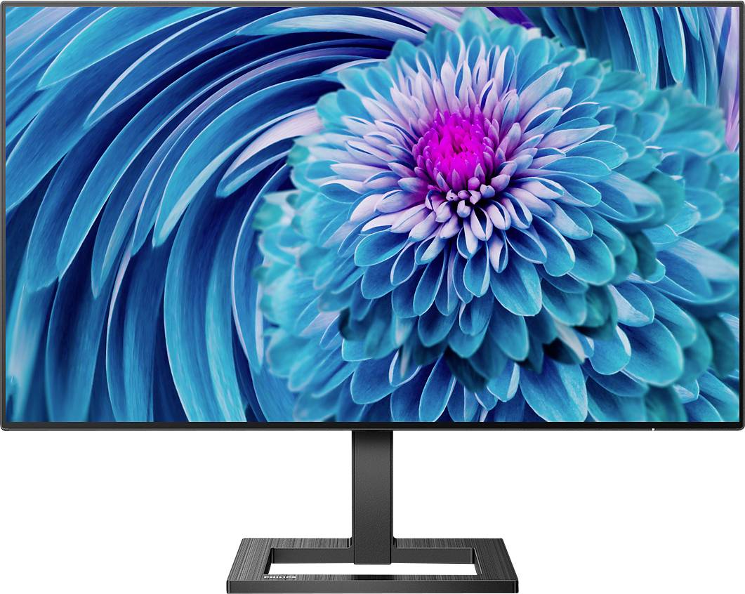 Ein Computerbildschirm zeigt eine Nahaufnahme von blauen und violetten Blumenblättern, die in Spiralform angeordnet sind.